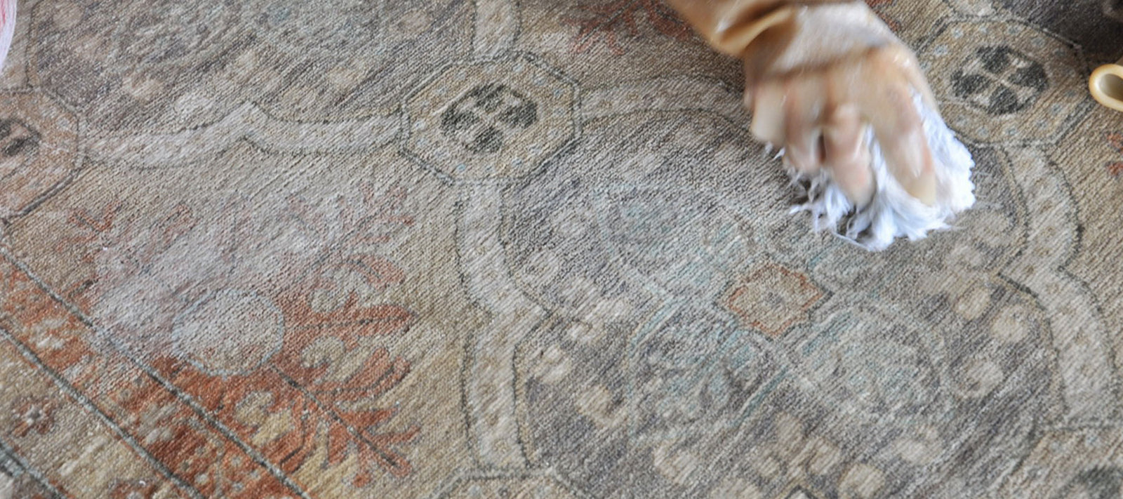 Our Rug Cleaning Process