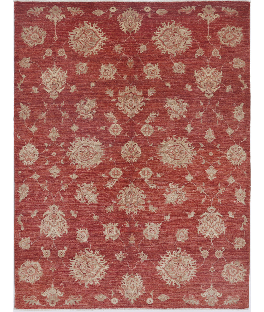Hand Knotted Art & Craft Wool Rug - 4'10'' x 6'6''