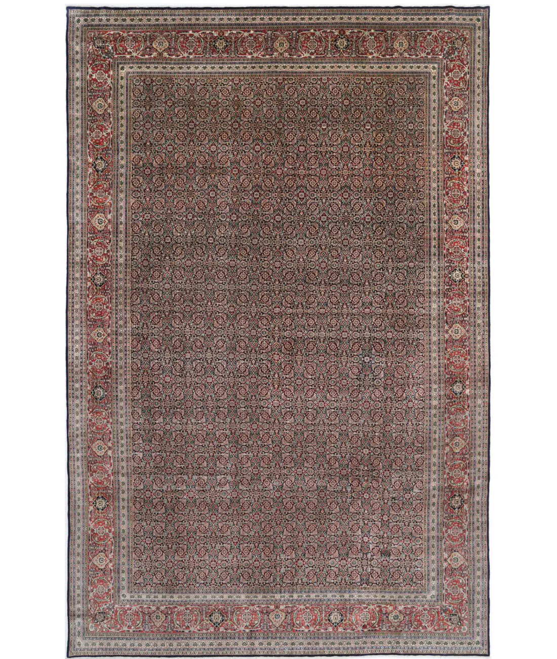 Hand Knotted Oriental Bijar Wool Rug - 11'8'' x 18'2''