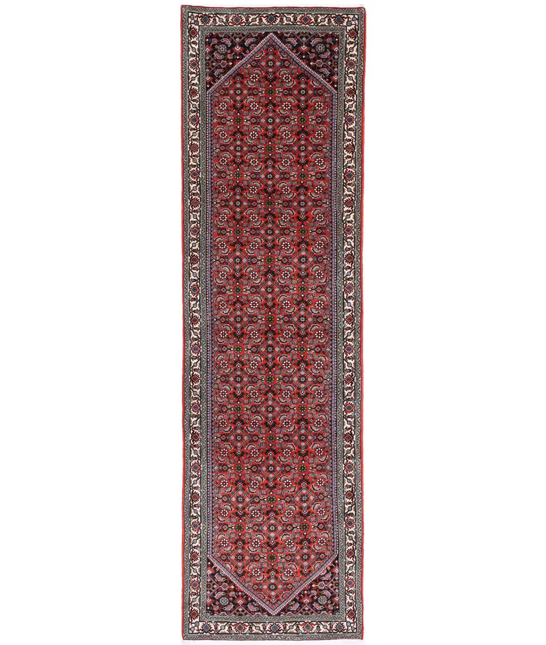 Hand Knotted Oriental Bijar Wool Rug - 2'6'' x 9'5''