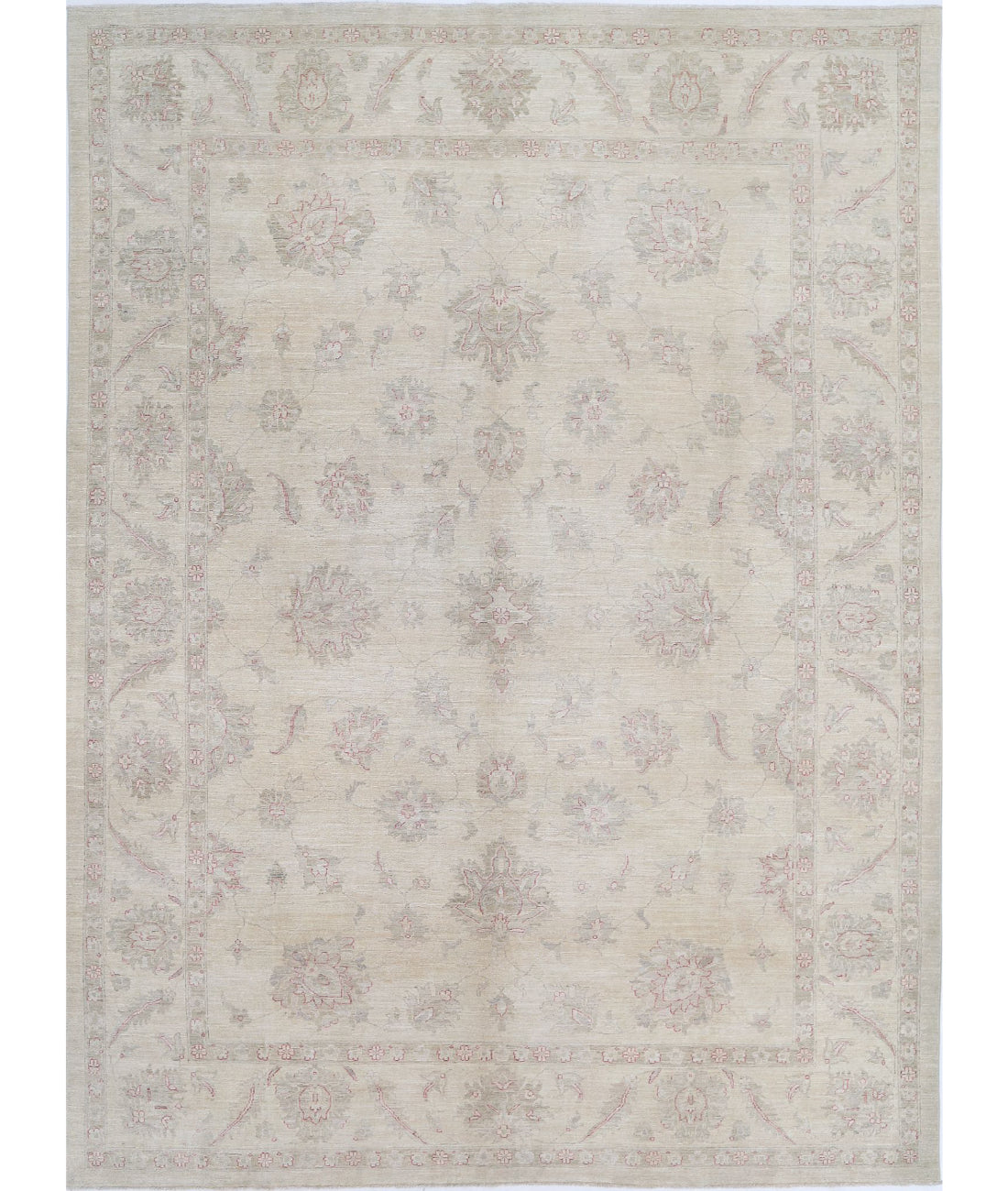 Hand Knotted Serenity Wool Rug - 9'0'' x 12'3''