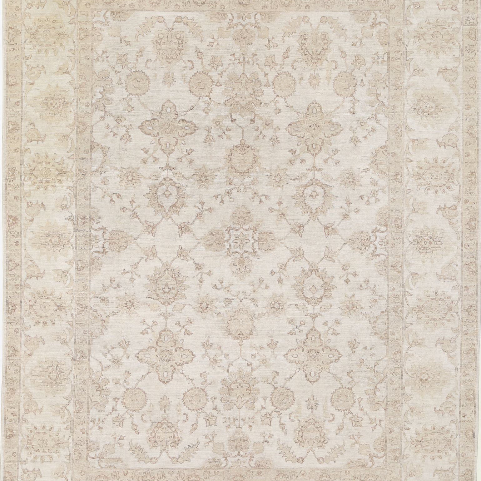 The Olive Rosette