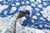 Ziegler - Chobi - Peshawar -hand-knotted-farhan-wool-rug-5016155-5.jpg