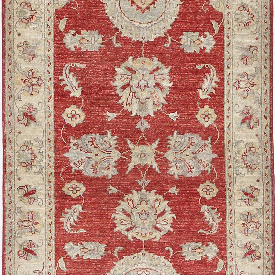 The Turmeric Tapestry
