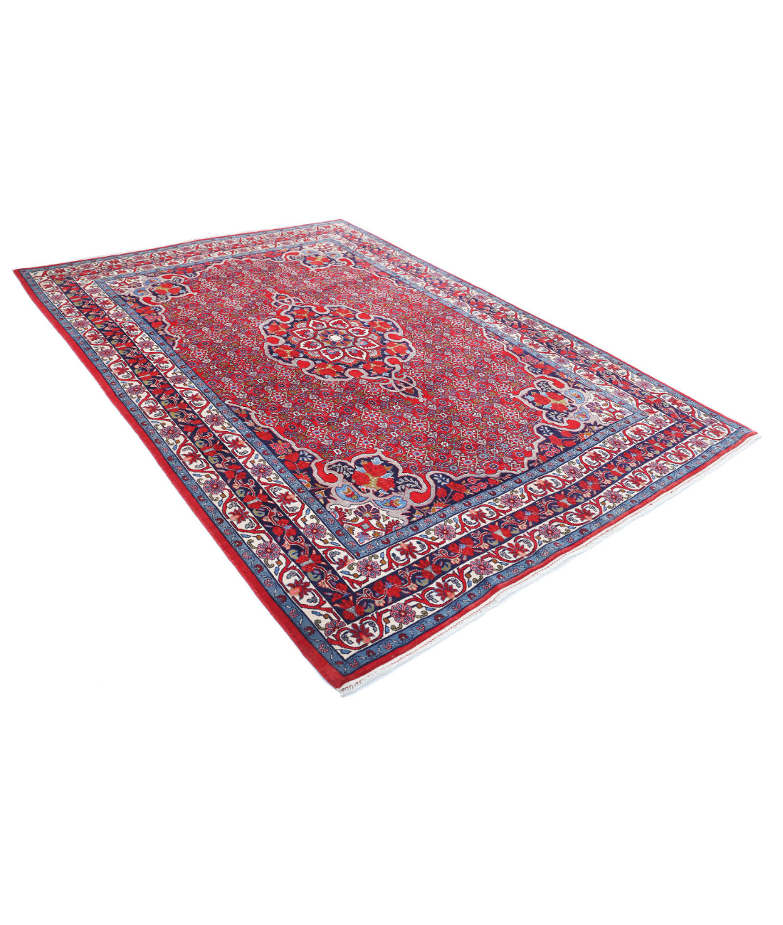 Hand Knotted Persian Bijar Wool Rug - 6'9'' x 9'8'' 6'9'' x 9'8'' (203 X 290) / Red / Blue