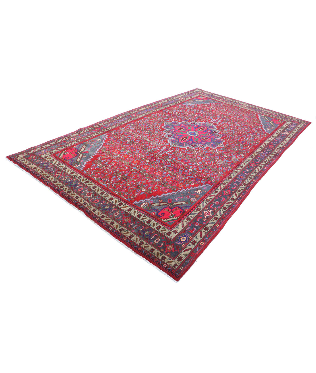 Hand Knotted Persian Bijar Wool Rug - 6'9'' x 11'6'' 6'9'' x 11'6'' (203 X 345) / Red / Blue