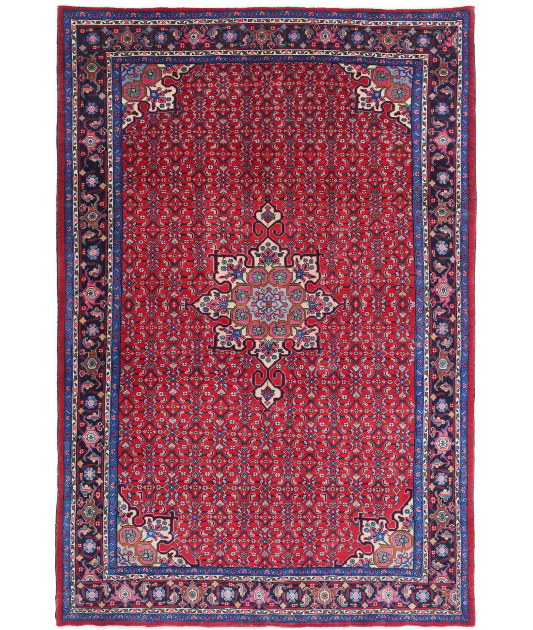 Hand Knotted Persian Bijar Wool Rug - 6'5'' x 9'9'' 6'5'' x 9'9'' (193 X 293) / Red / Blue