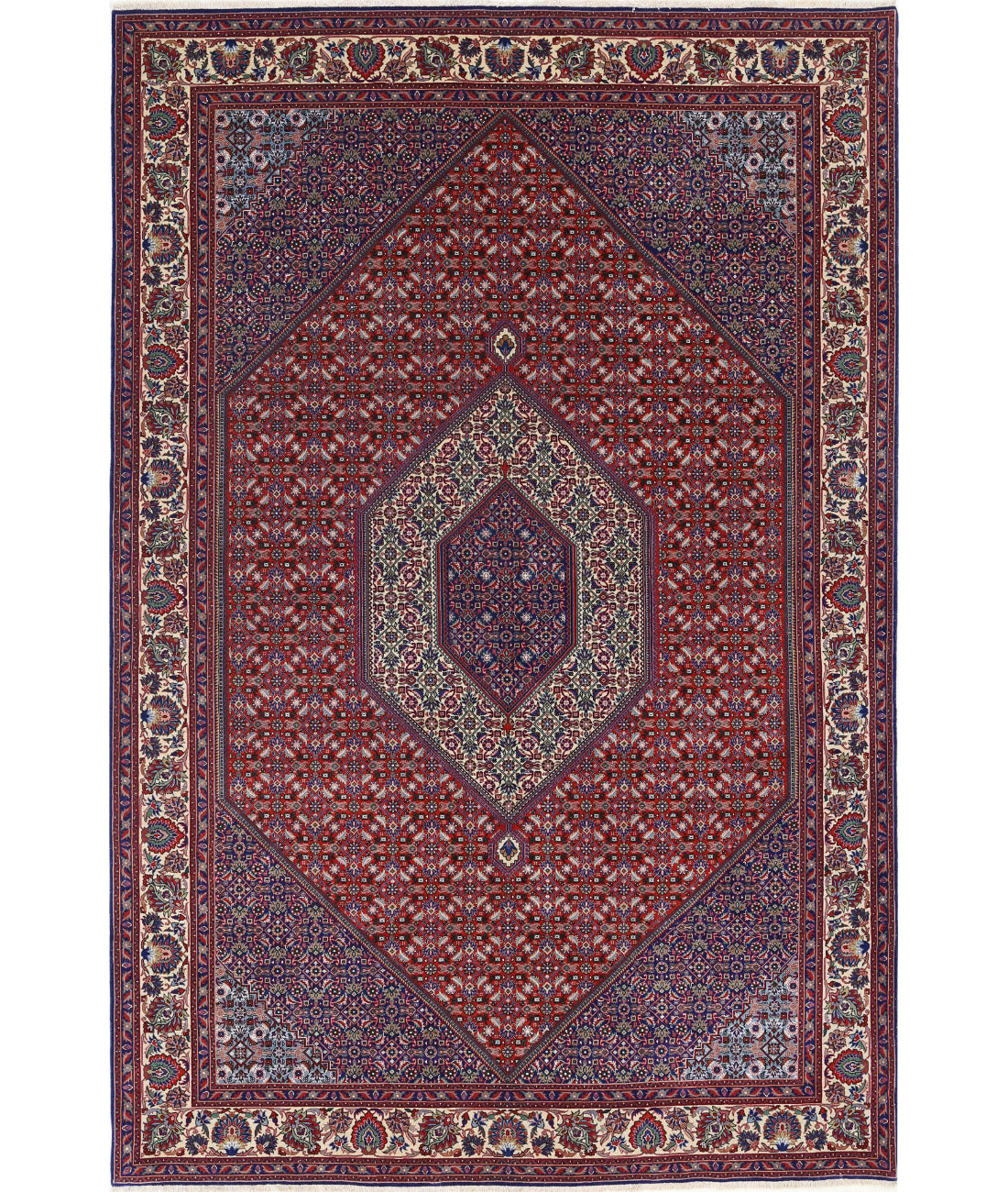 Hand Knotted Persian Bijar Wool Rug - 6'8'' x 9'11'' 6'8'' x 9'11'' (200 X 298) / Red / Ivory