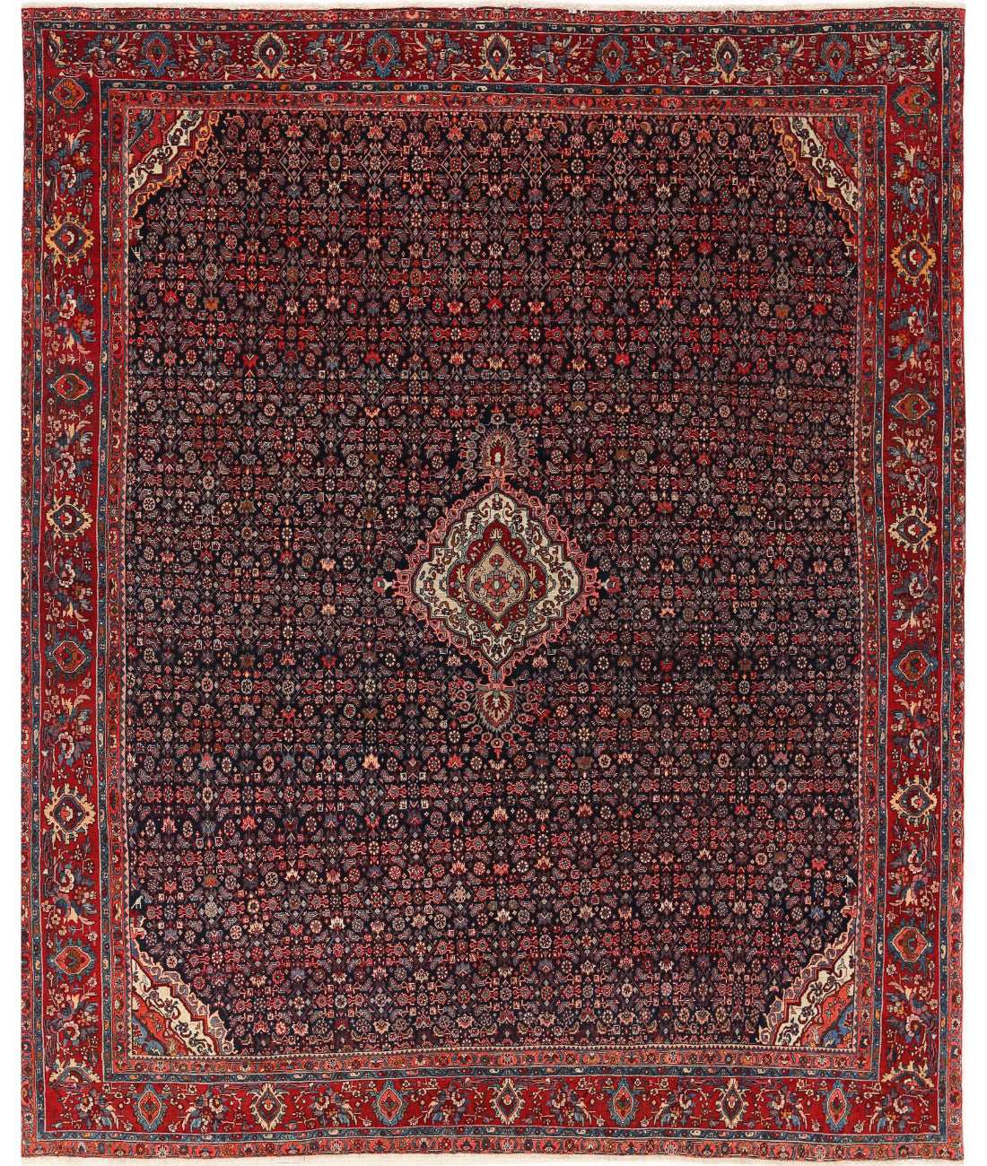 Hand Knotted Antique Oriental Bijar Wool Rug - 10'0'' x 12'4''
