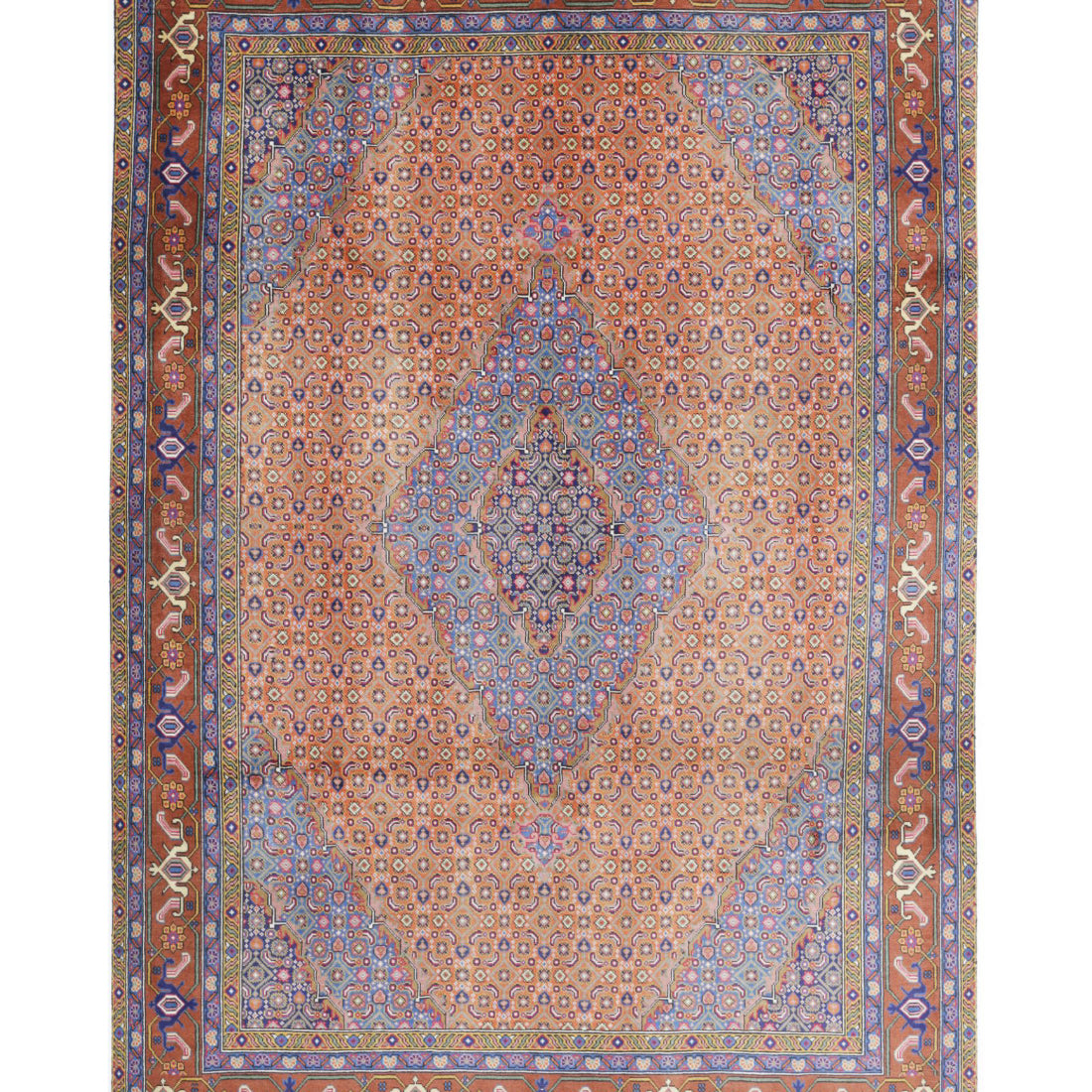 The Saffron Plume