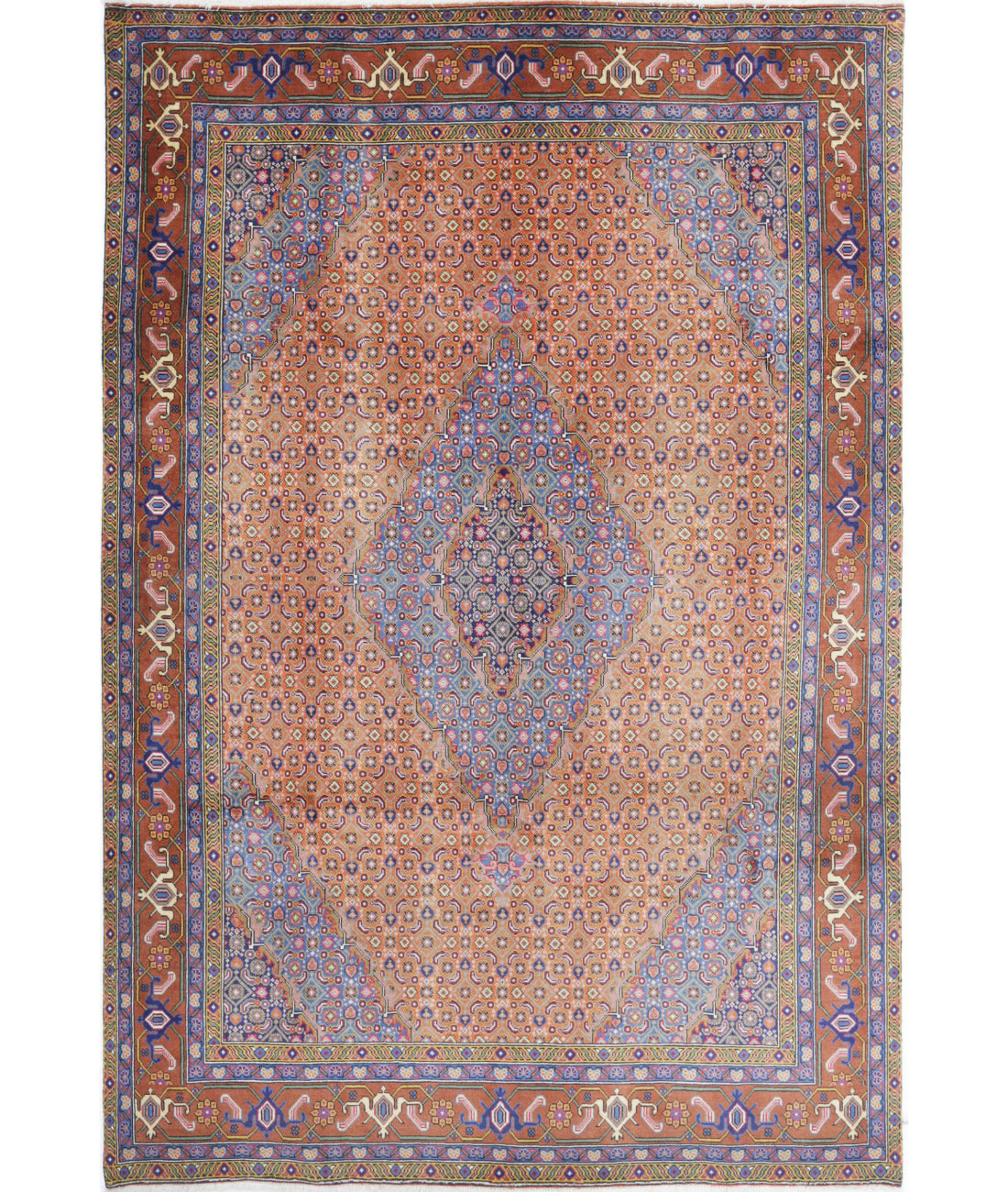 Hand Knotted Oriental Bijar Wool Rug - 6'8'' x 9'9''