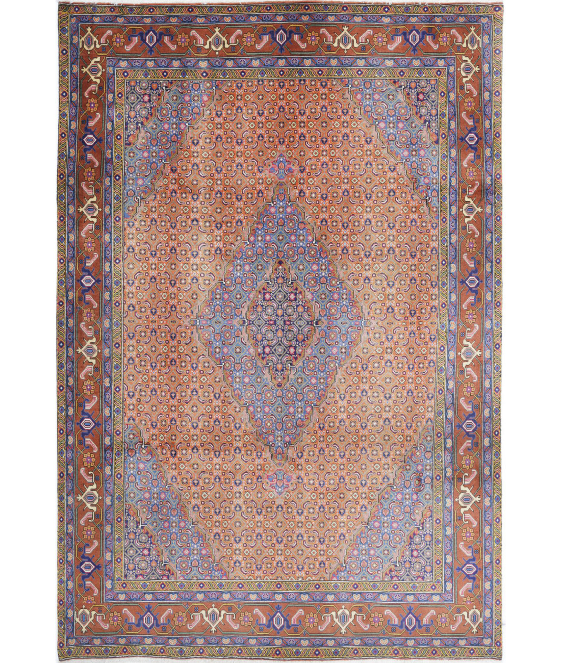 Hand Knotted Persian Bijar Wool Rug - 6'8'' x 9'9'' 6'8'' x 9'9'' (200 X 293) / Rust / Brown