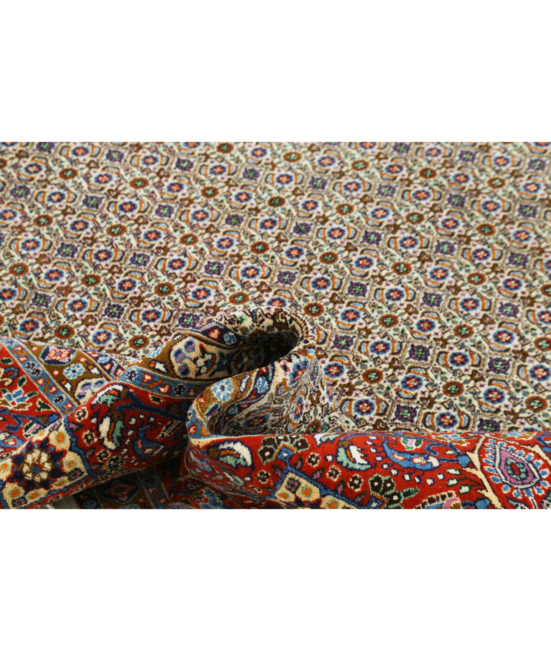 Hand Knotted Persian Bijar Wool Rug - 7'11'' x 11'0'' 7'11'' x 11'0'' (238 X 330) / Ivory / Red