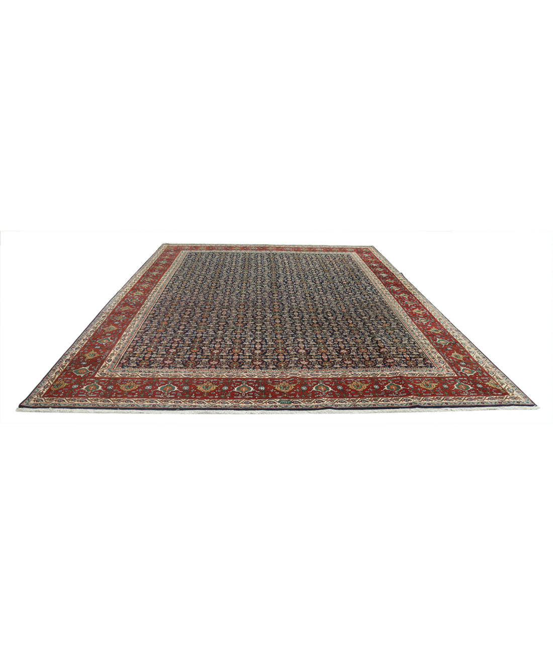 Hand Knotted Persian Bijar Wool Rug - 9'11'' x 13'4'' 9'11'' x 13'4'' (298 X 400) / Blue / Red
