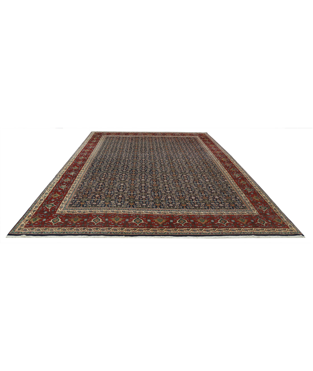 Hand Knotted Persian Bijar Wool Rug - 9'11'' x 13'4'' 9'11'' x 13'4'' (298 X 400) / Blue / Red