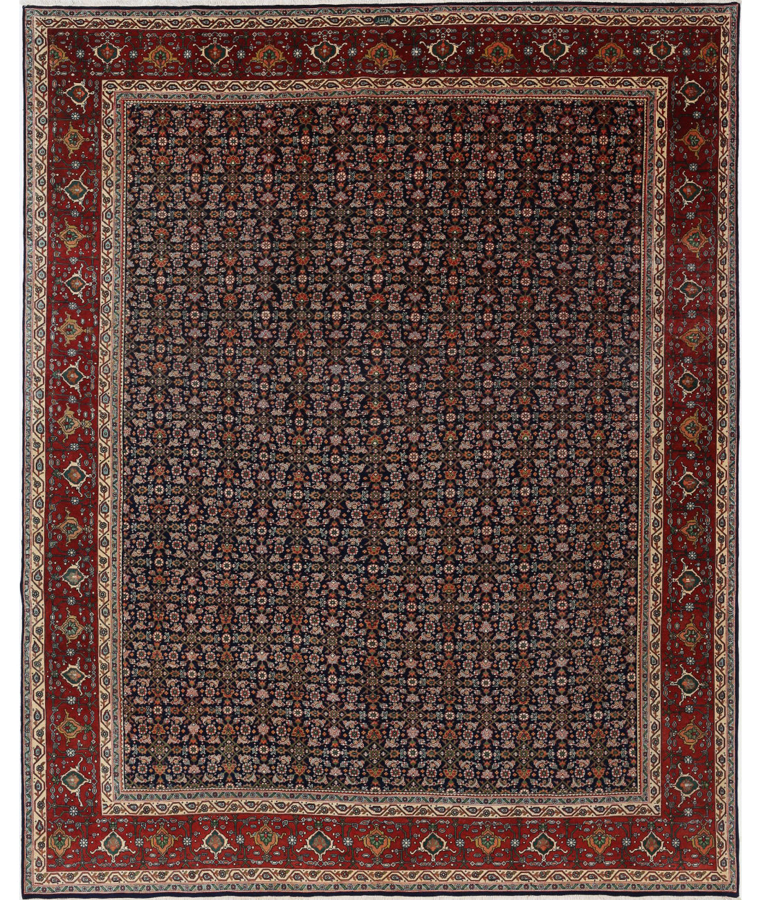 Hand Knotted Persian Bijar Wool Rug - 9'11'' x 13'4'' 9'11'' x 13'4'' (298 X 400) / Blue / Red