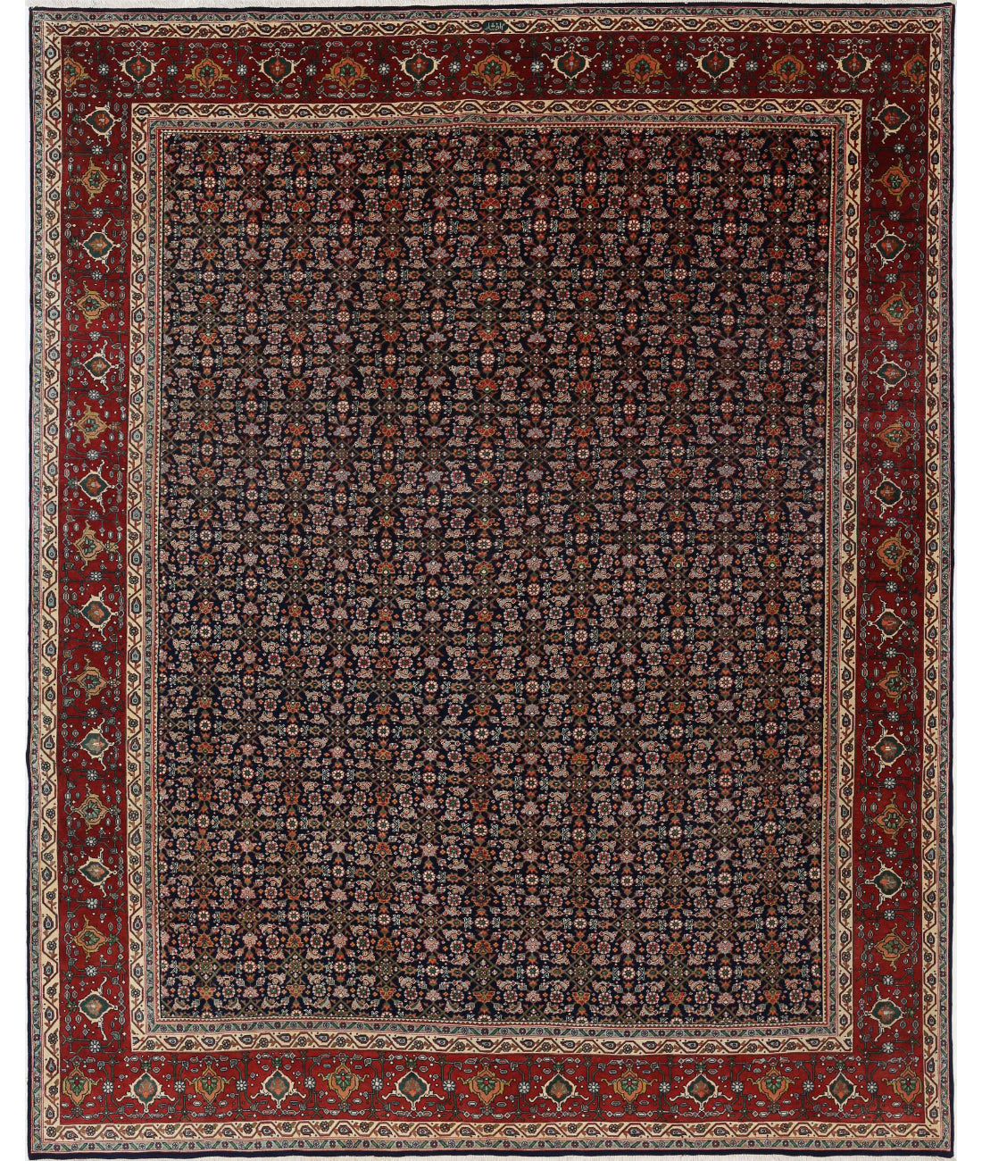 Hand Knotted Oriental Bijar Wool Rug - 9'11'' x 13'4''