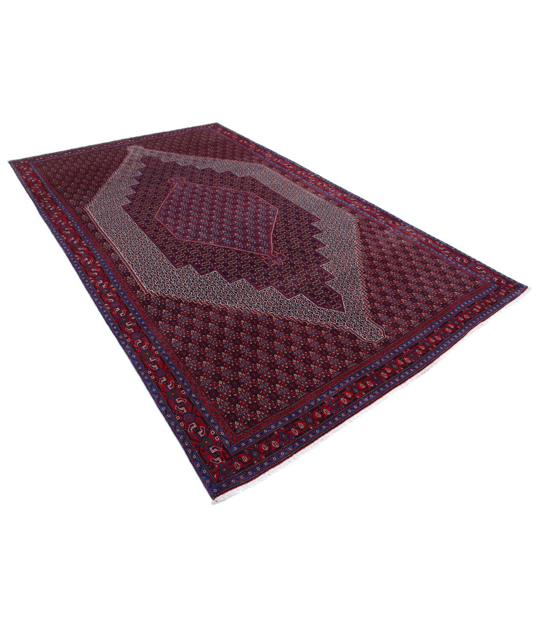 Hand Knotted Persian Bijar Wool Rug - 6'8'' x 10'11'' 6'8'' x 10'11'' (200 X 328) / Blue / Red