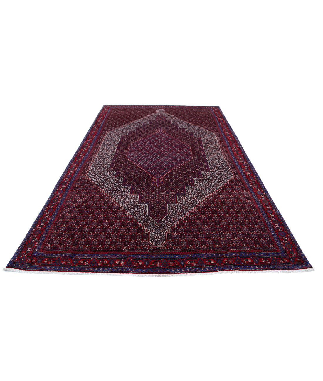 Hand Knotted Persian Bijar Wool Rug - 6'8'' x 10'11'' 6'8'' x 10'11'' (200 X 328) / Blue / Red