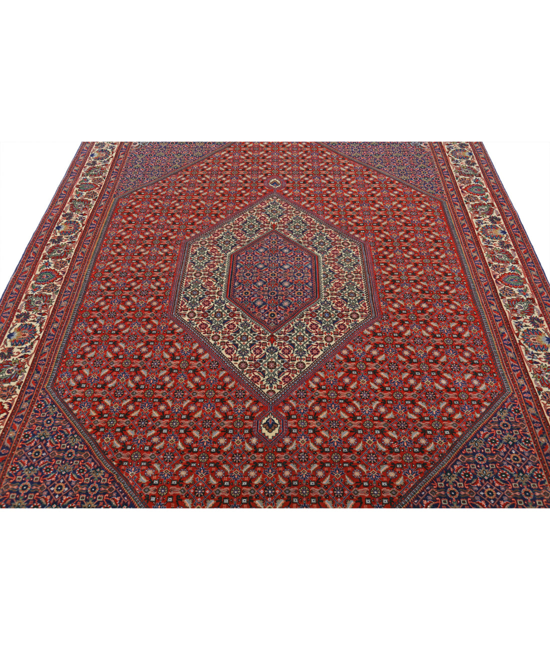 Hand Knotted Persian Bijar Wool Rug - 6'7'' x 9'11'' 6'7'' x 9'11'' (198 X 298) / Red / Ivory