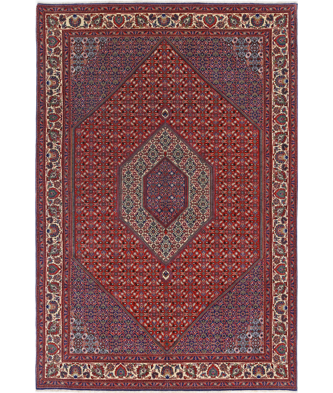 Hand Knotted Oriental Bijar Wool Rug - 6'7'' x 9'11''