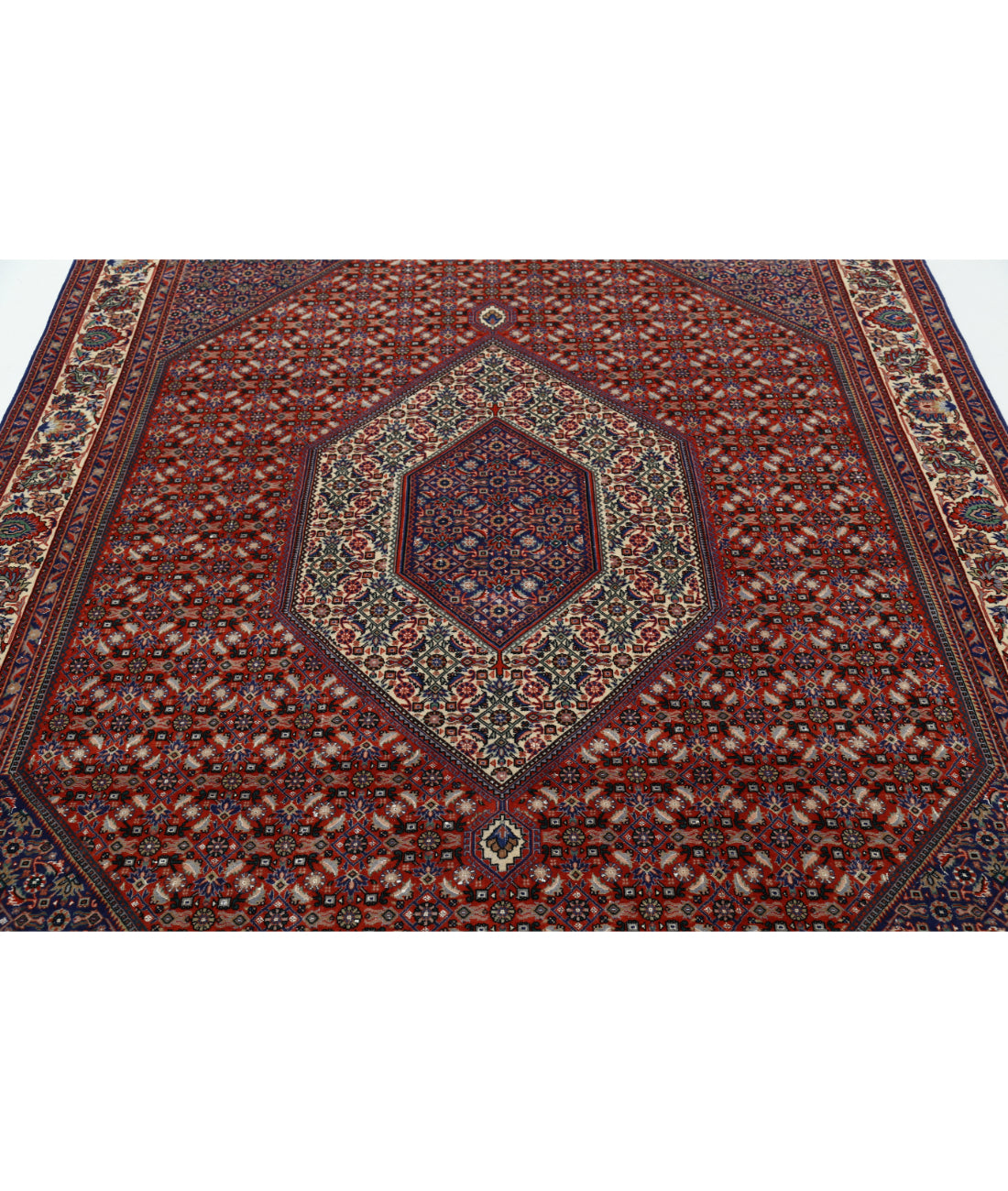 Hand Knotted Persian Bijar Wool & Silk Rug - 6'7'' x 9'8'' 6'7'' x 9'8'' (198 X 290) / Red / Ivory