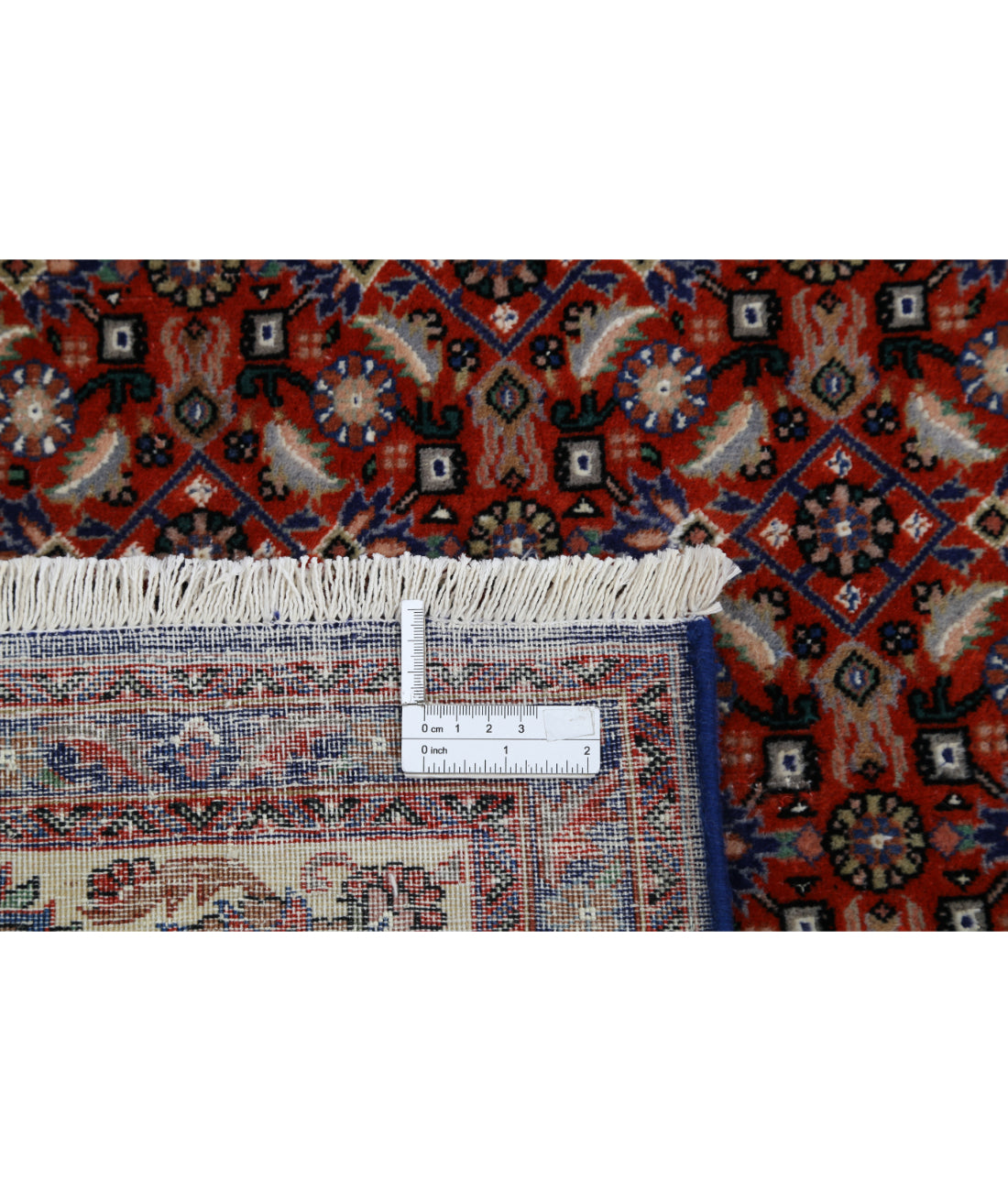 Hand Knotted Persian Bijar Wool & Silk Rug - 6'7'' x 9'8'' 6'7'' x 9'8'' (198 X 290) / Red / Ivory