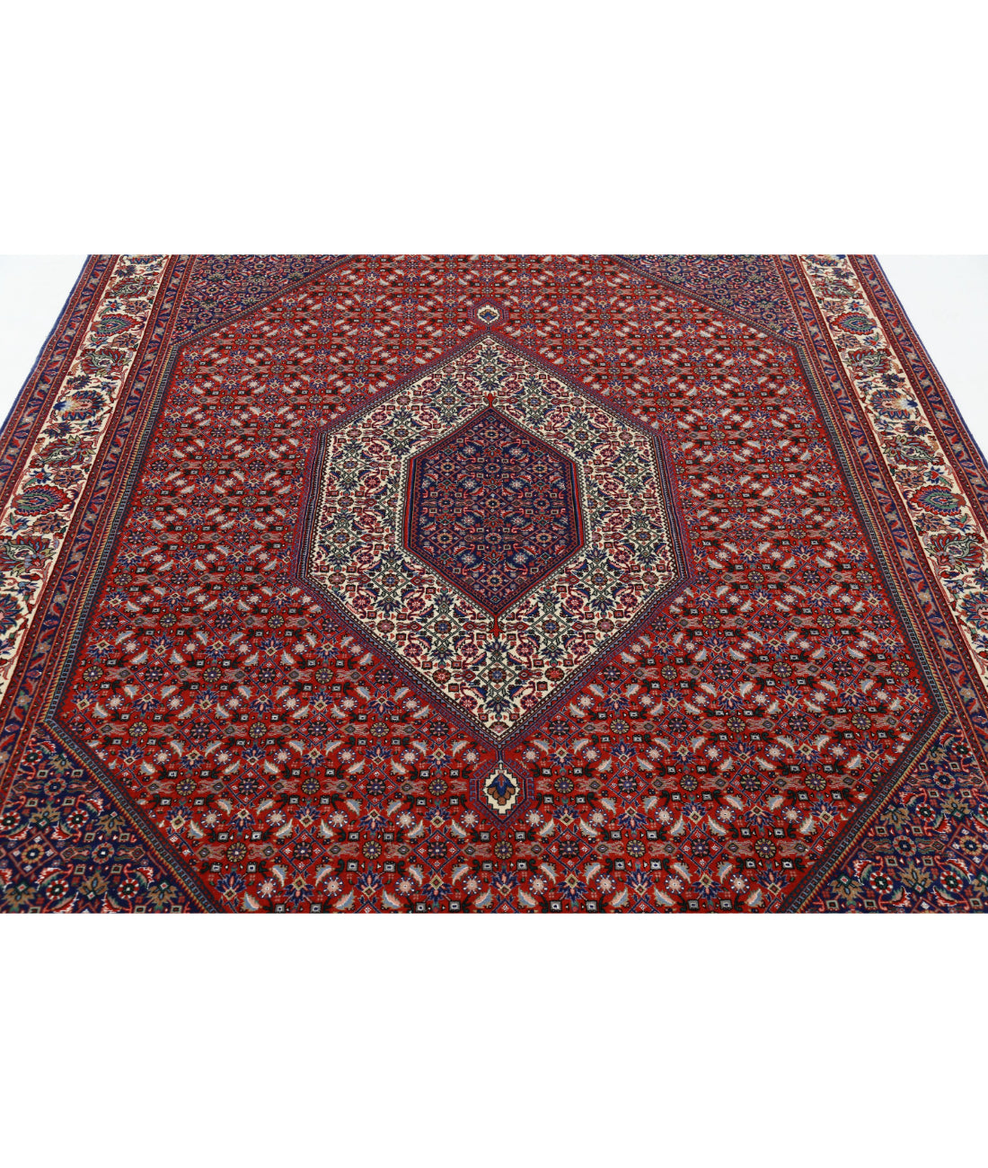 Hand Knotted Persian Bijar Wool & Silk Rug - 6'7'' x 10'0'' 6'7'' x 10'0'' (198 X 300) / Red / Ivory