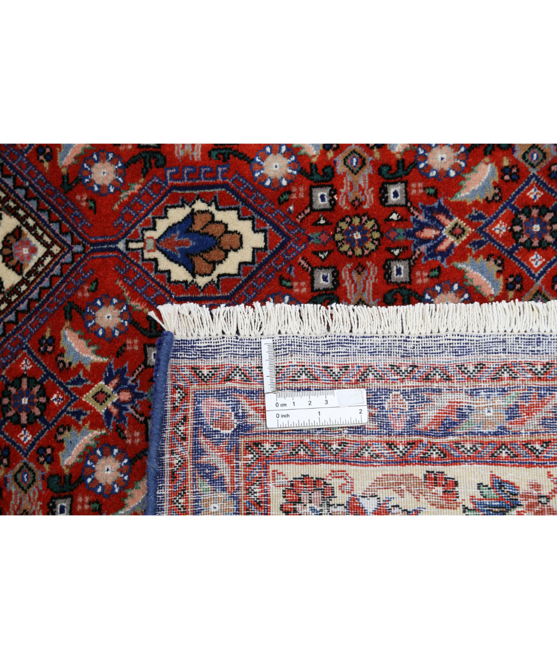 Hand Knotted Persian Bijar Wool & Silk Rug - 6'7'' x 10'0'' 6'7'' x 10'0'' (198 X 300) / Red / Ivory