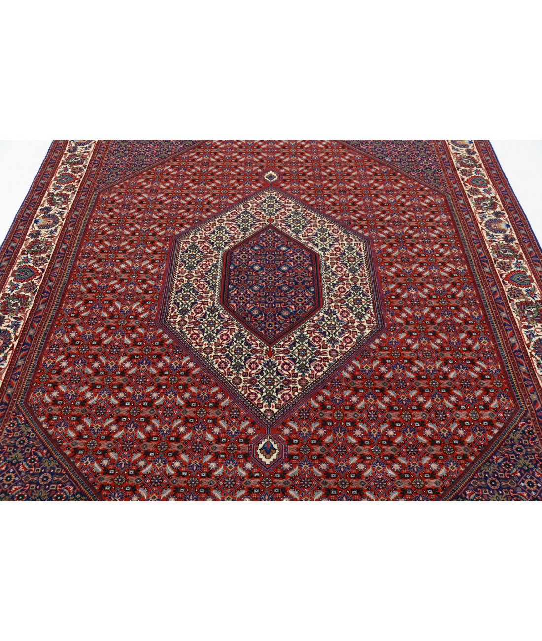 Hand Knotted Persian Bijar Wool & Silk Rug - 6'7'' x 9'10'' 6'7'' x 9'10'' (198 X 295) / Red / Ivory