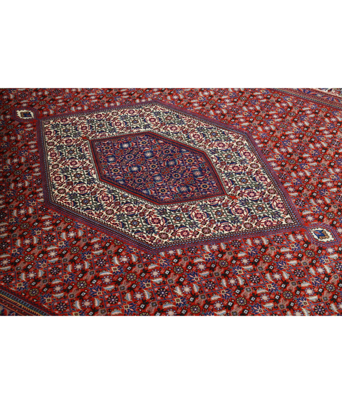 Hand Knotted Persian Bijar Wool & Silk Rug - 6'7'' x 9'10'' 6'7'' x 9'10'' (198 X 295) / Red / Ivory