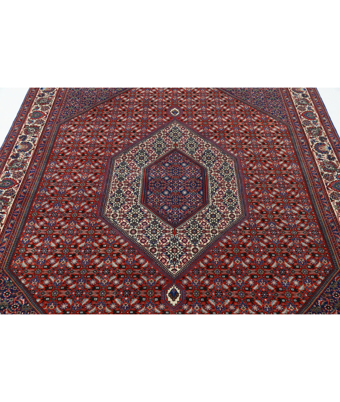 Hand Knotted Persian Bijar Wool & Silk Rug - 6'6'' x 9'9'' 6'6'' x 9'9'' (195 X 293) / Red / Ivory