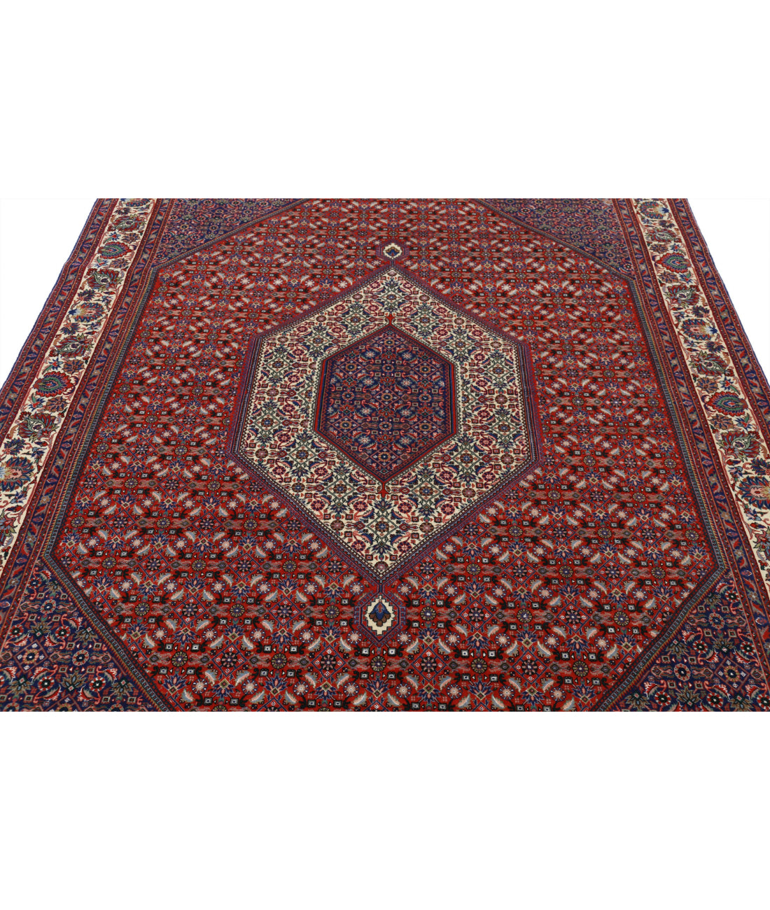 Hand Knotted Persian Bijar Wool & Silk Rug - 6'7'' x 9'9'' 6'7'' x 9'9'' (198 X 293) / Red / Ivory