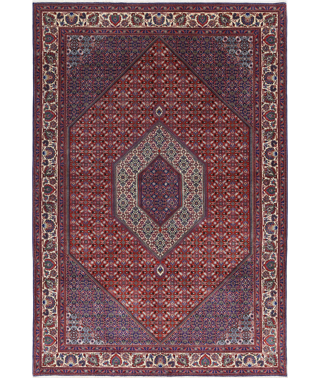 Hand Knotted Oriental Bijar Wool & Silk Rug - 6'7'' x 9'9''