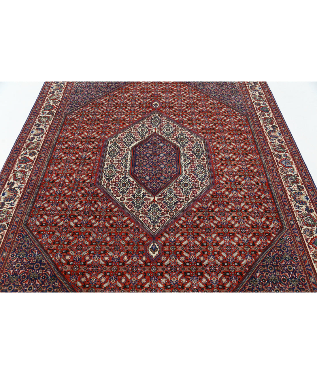 Hand Knotted Persian Bijar Wool & Silk Rug - 6'7'' x 9'9'' 6'7'' x 9'9'' (198 X 293) / Red / Ivory