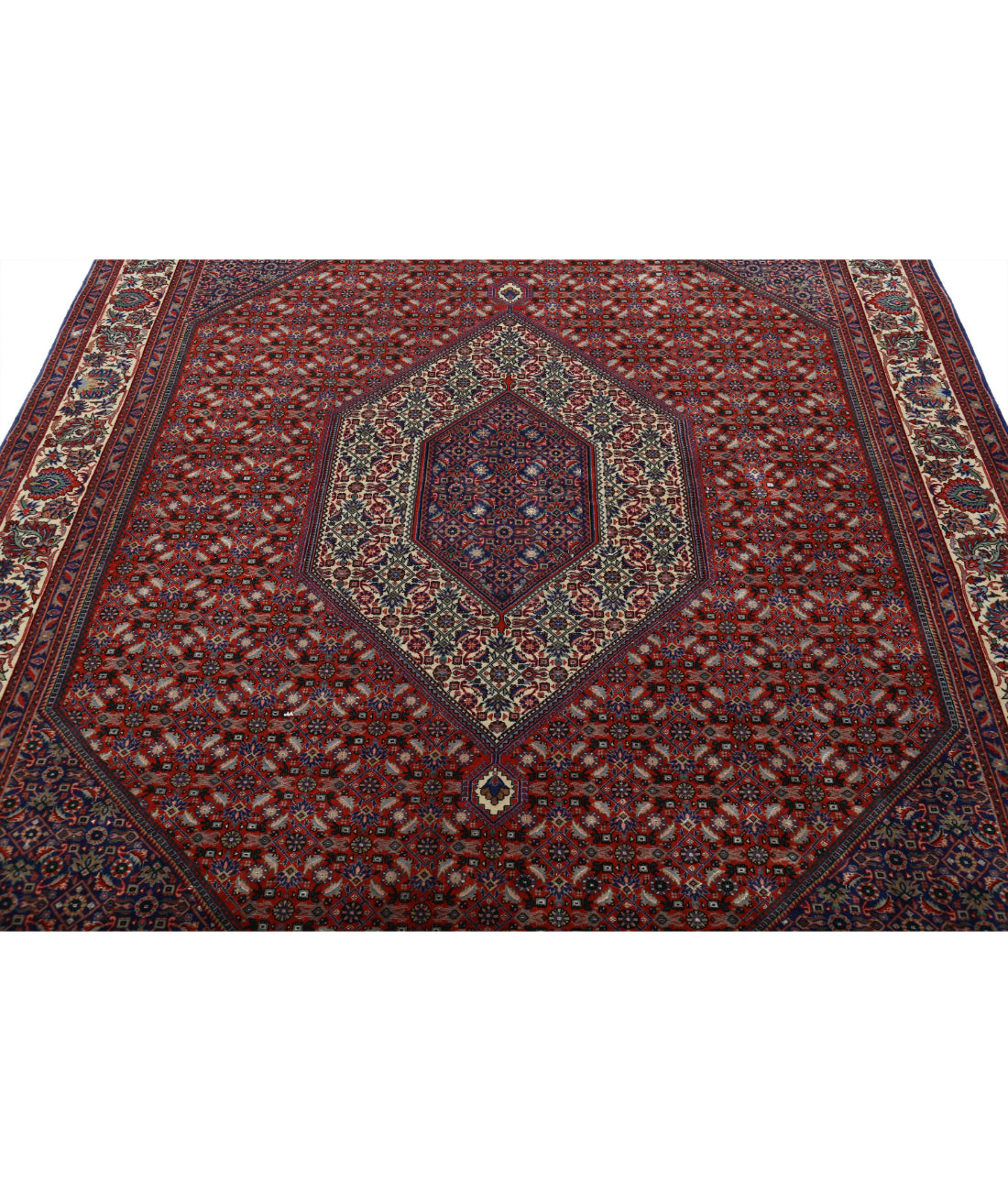 Hand Knotted Persian Bijar Wool & Silk Rug - 6'7'' x 9'10'' 6'7'' x 9'10'' (198 X 295) / Red / Ivory