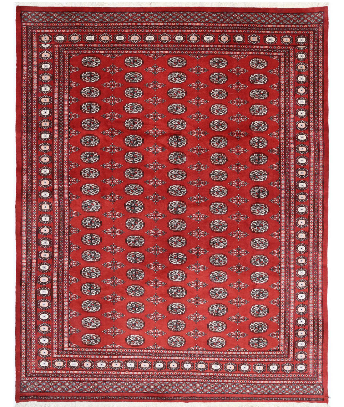 Hand Knotted Tribal Bokhara Wool Rug - 7'11'' x 10'0'' 7'11'' x 10'0'' (238 X 300) / Red / Ivory
