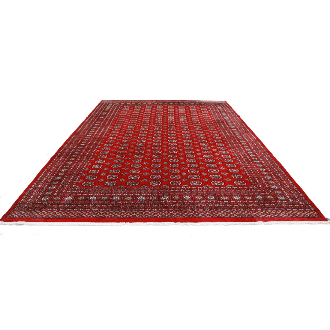 The Coral Hearth