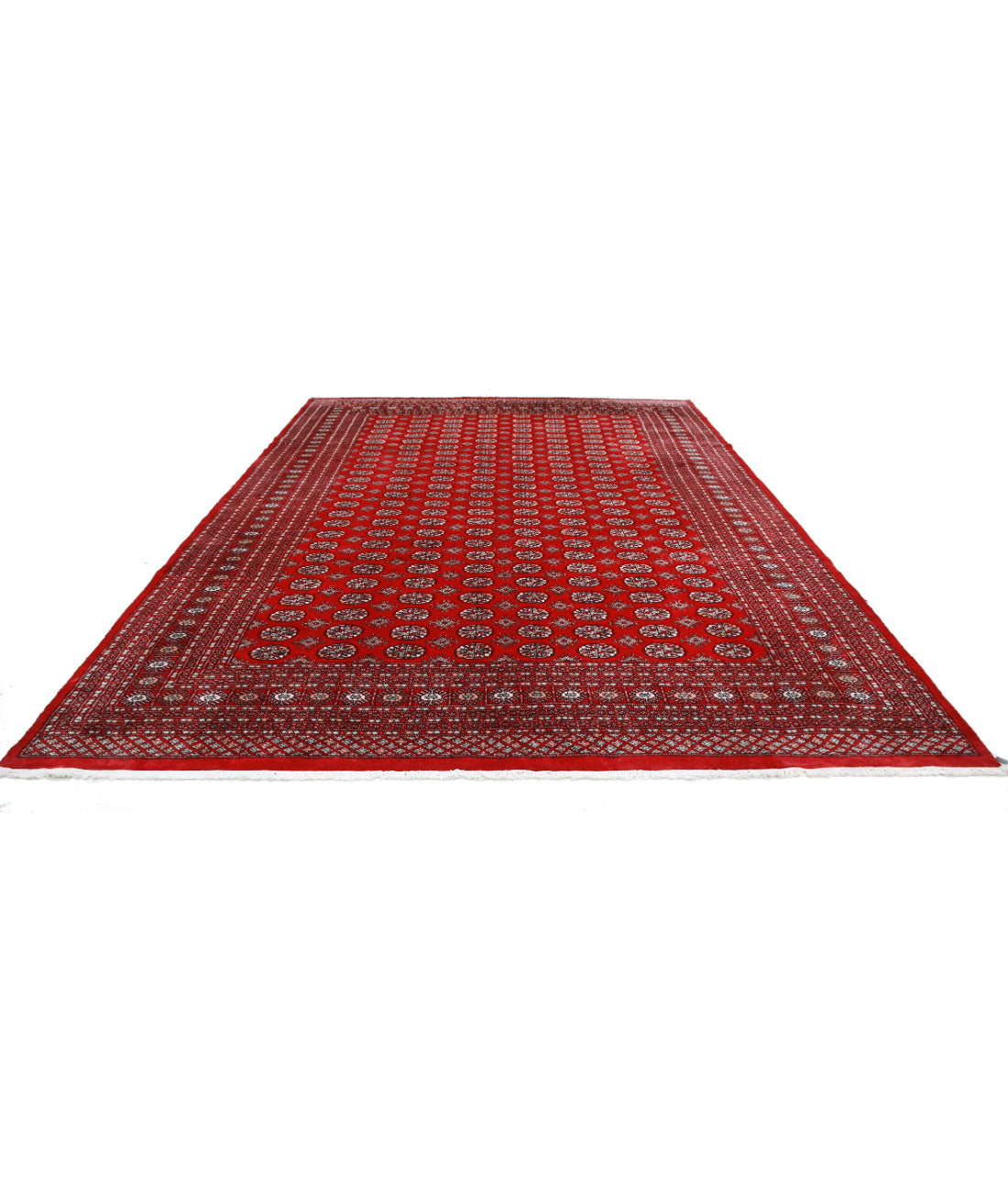 The Coral Hearth