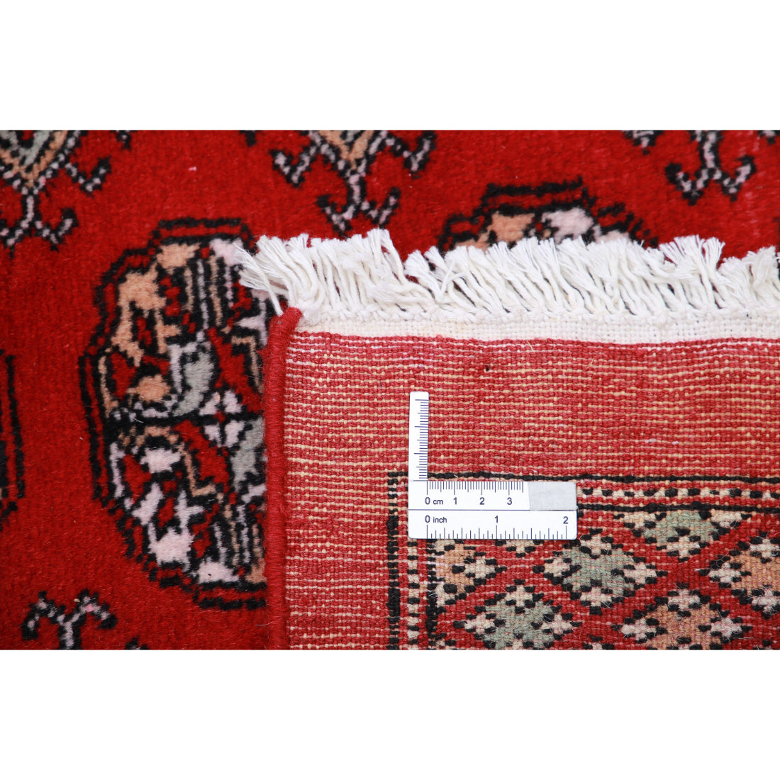 The Coral Hearth