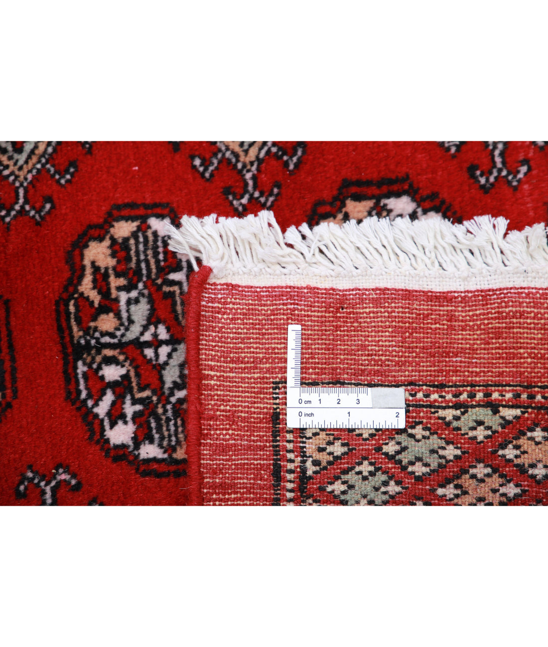 The Coral Hearth