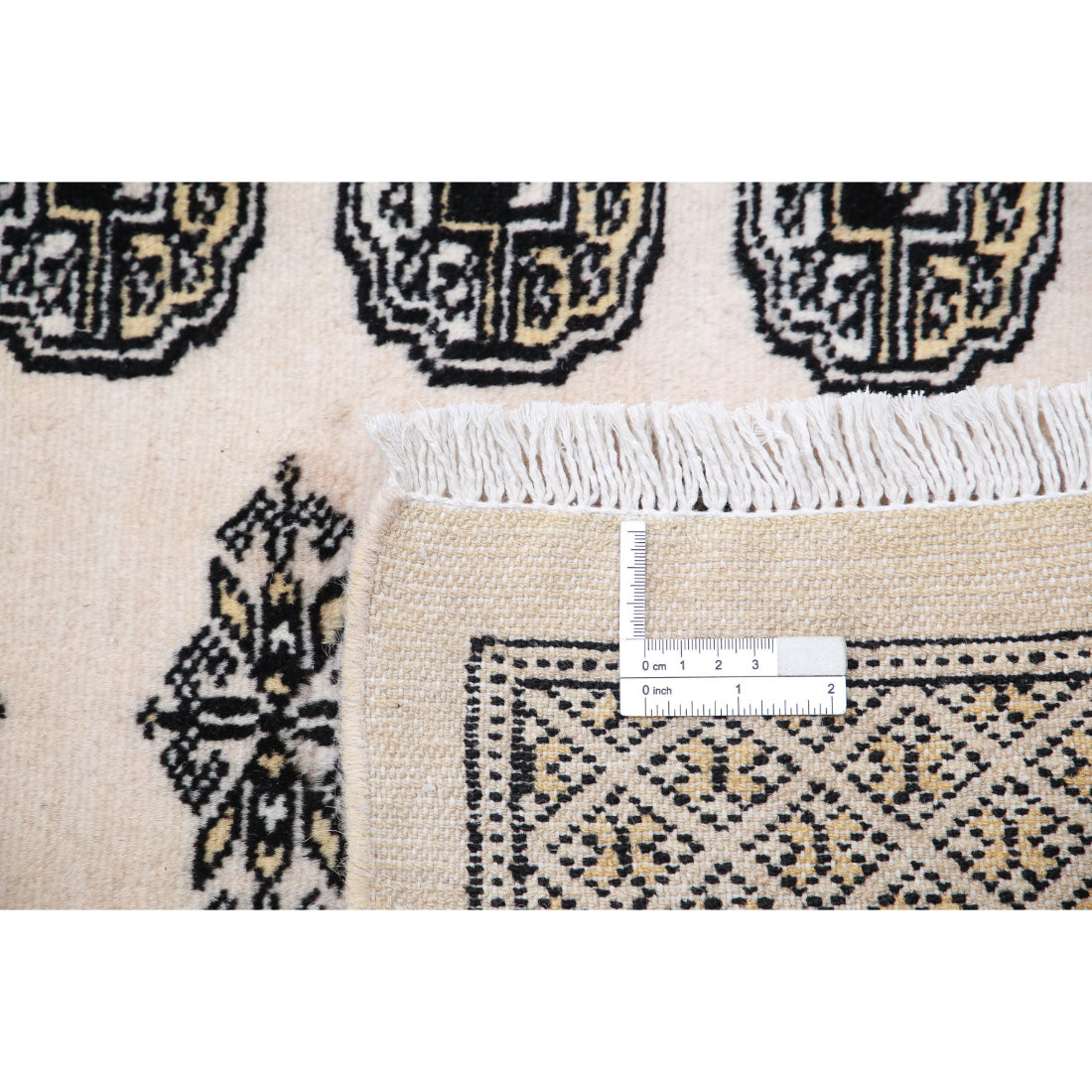 The Turmeric Mosaic