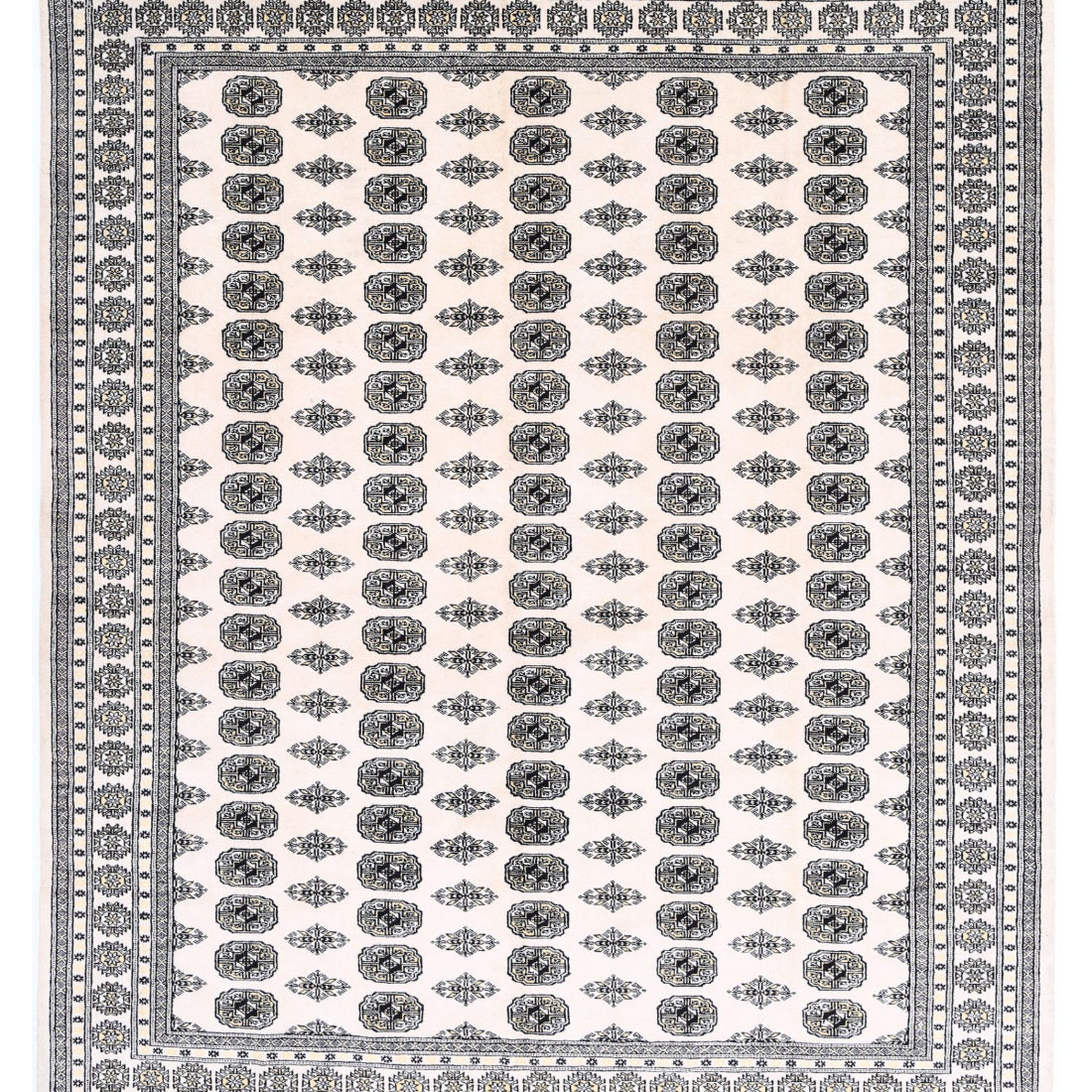 The Turmeric Mosaic