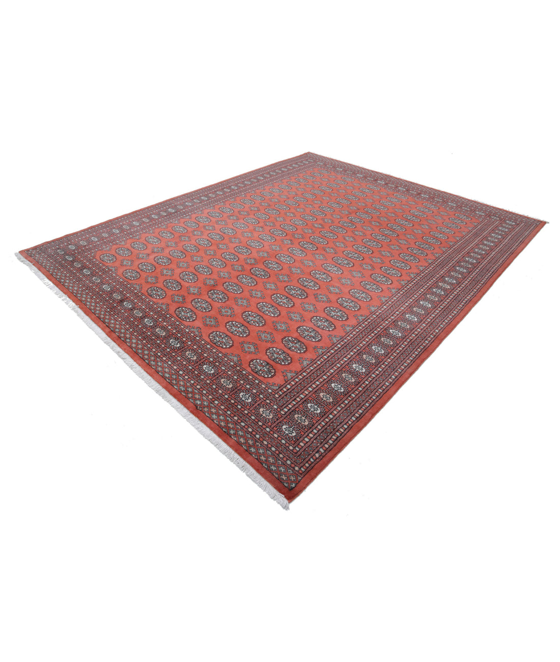 Hand Knotted Tribal Bokhara Wool Rug - 8'1'' x 10'1'' 8'1'' x 10'1'' (243 X 303) / Rust / Ivory