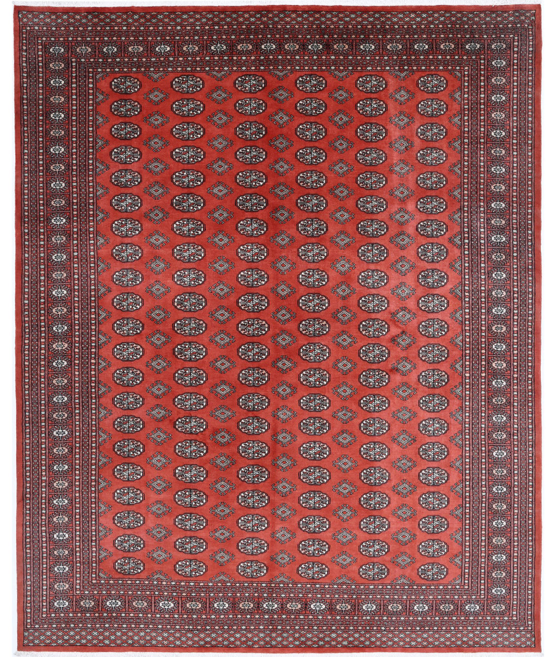 Hand Knotted Tribal Bokhara Wool Rug - 8&#39;1&#39;&#39; x 10&#39;1&#39;&#39; 8&#39;1&#39;&#39; x 10&#39;1&#39;&#39; (243 X 303) / Rust / Ivory