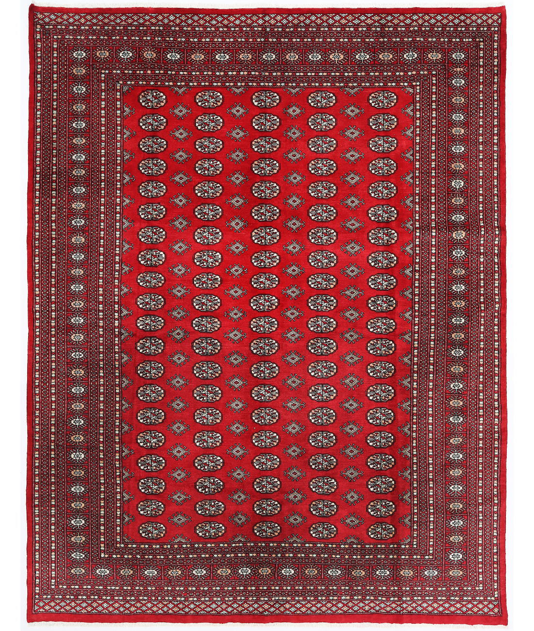 Hand Knotted Bokhara Wool Rug 8' 0" X 10' 3" 8' 0" X 10' 3" (244 X 312) / Red / Red