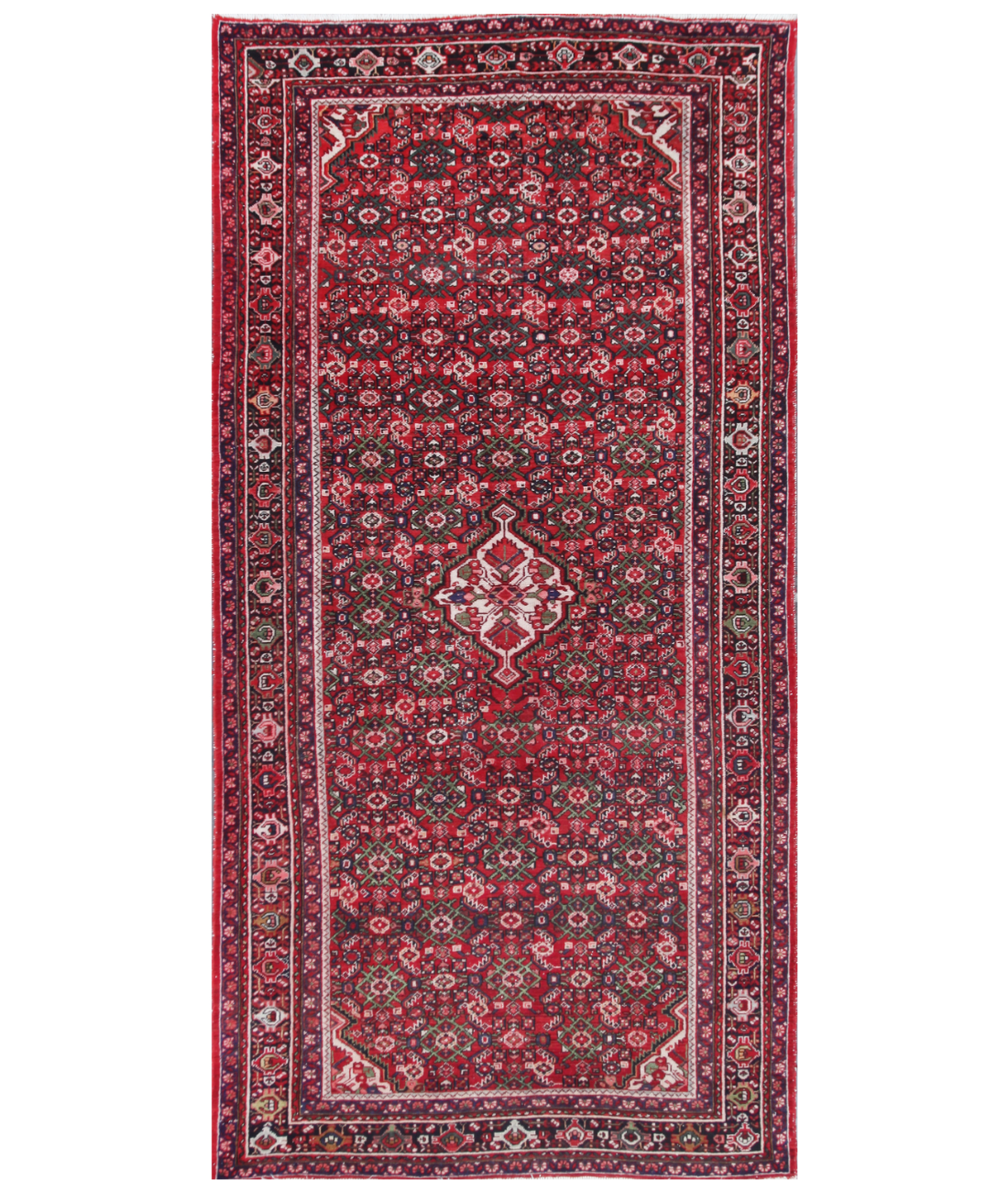 Hand Knotted Hamadan Wool Rug  - 5' 1" X 10' 3"