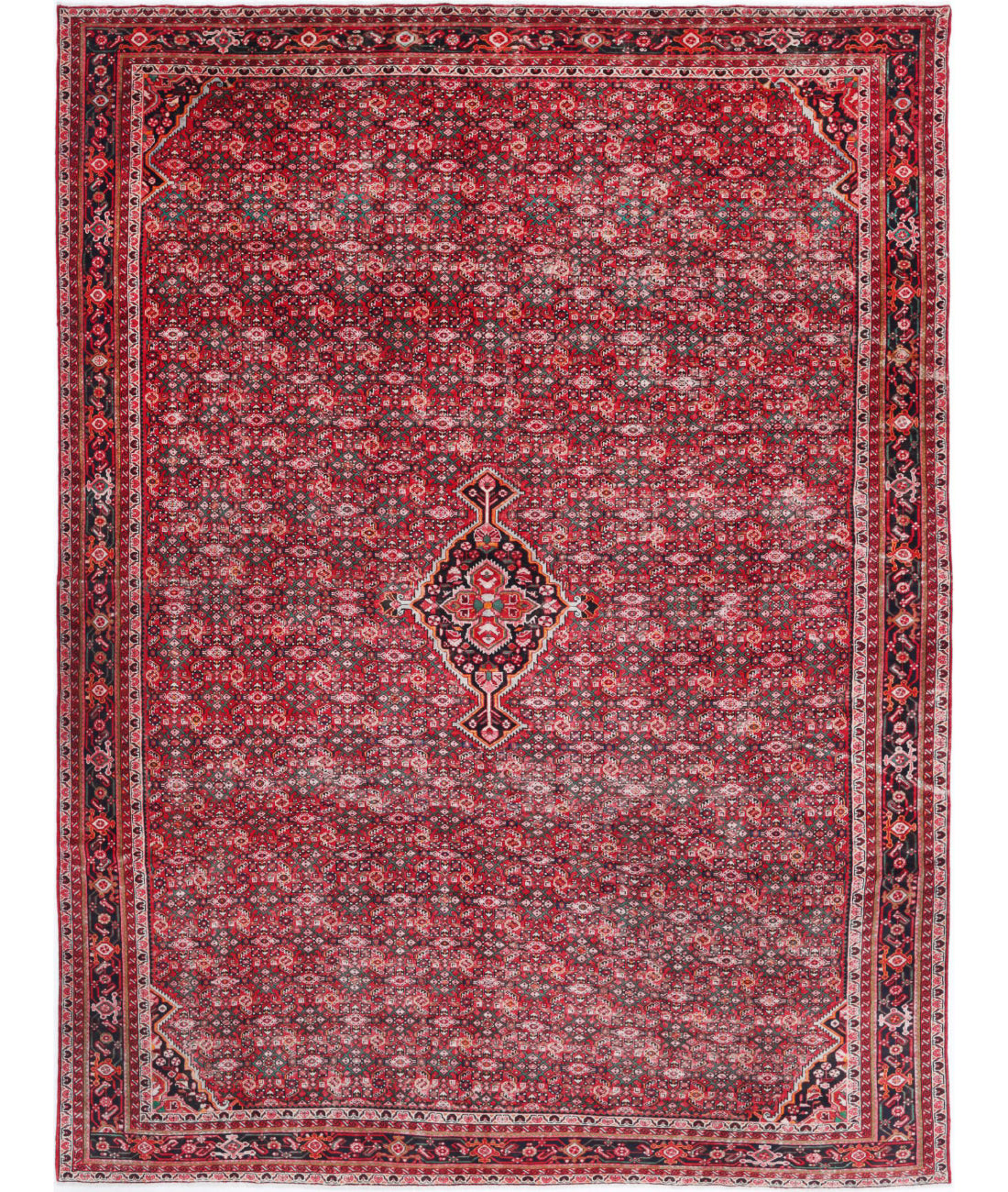 Hand Knotted Oriental Hamadan Wool Rug - 11'1'' x 14'10''