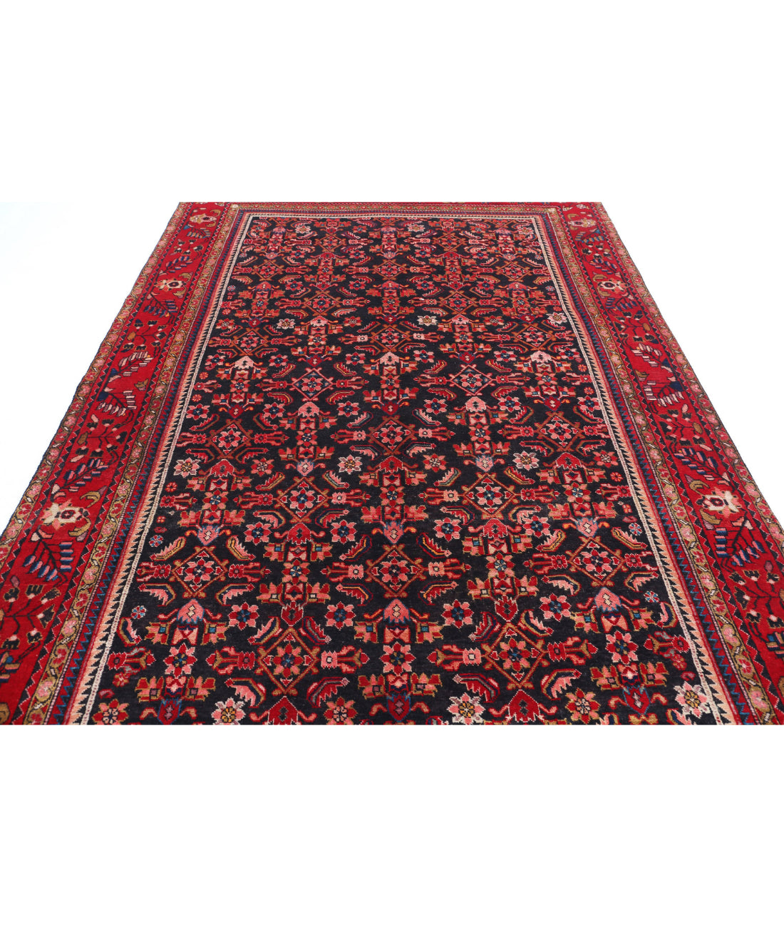 Hand Knotted Persian Hamadan Wool Rug - 6'11'' x 9'11'' 6'11'' x 9'11'' (208 X 298) / Black / Red