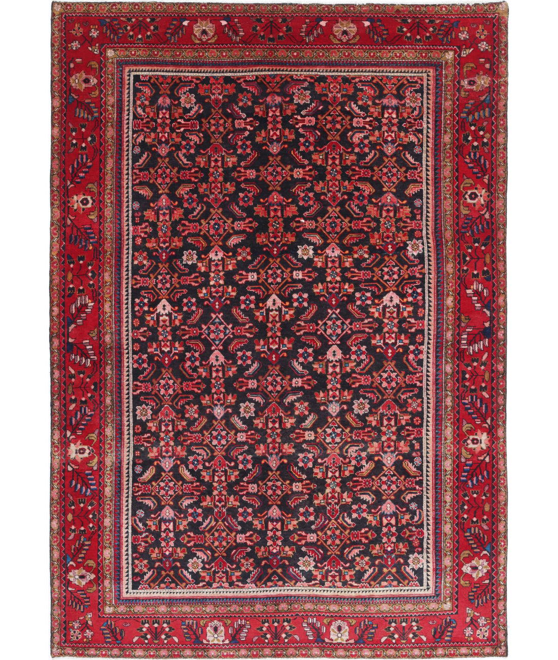 Hand Knotted Persian Hamadan Wool Rug - 6&#39;11&#39;&#39; x 9&#39;11&#39;&#39; 6&#39;11&#39;&#39; x 9&#39;11&#39;&#39; (208 X 298) / Black / Red